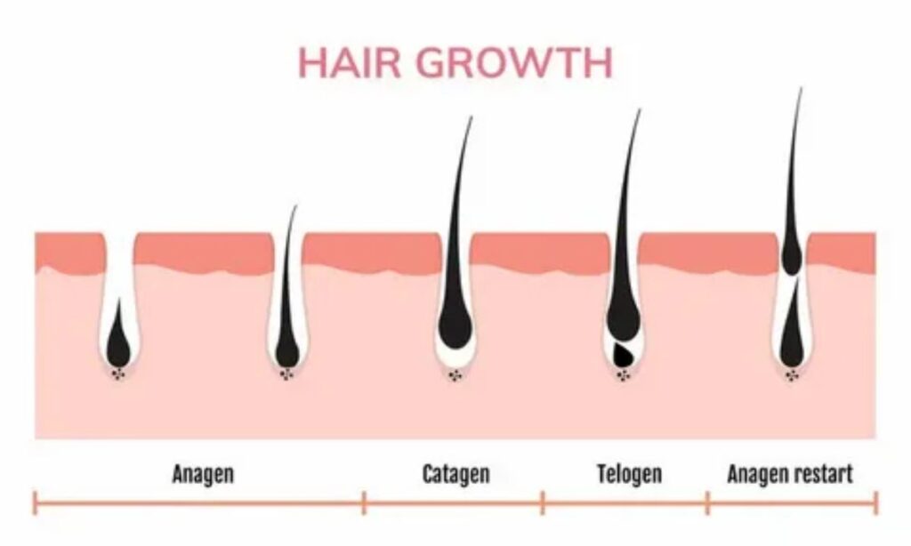 Hair Growth Shampoo For Thinning Hair, Hair Fall,  Stronger Roots