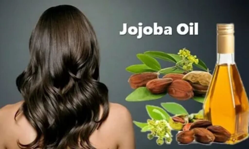 Hair Oil With Jojoba: Benefits, Uses, and How to Choose the Best