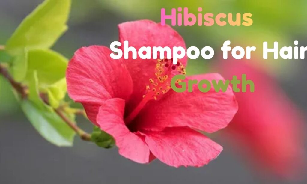 Hibiscus Shampoo for Hair Growth? 7 Proven Benefits